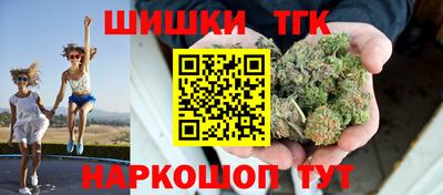 дживик Бийск